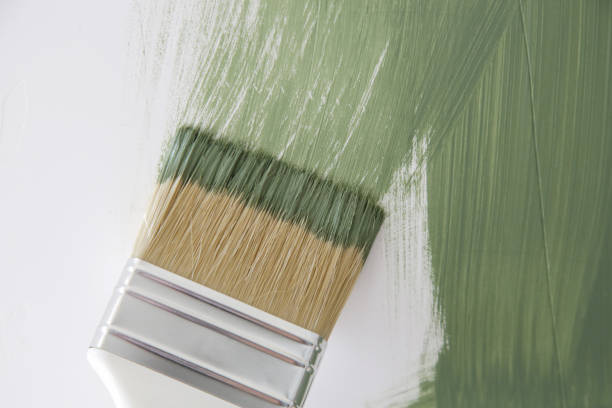 Best Commercial Mold Inspection  in Largo, MD