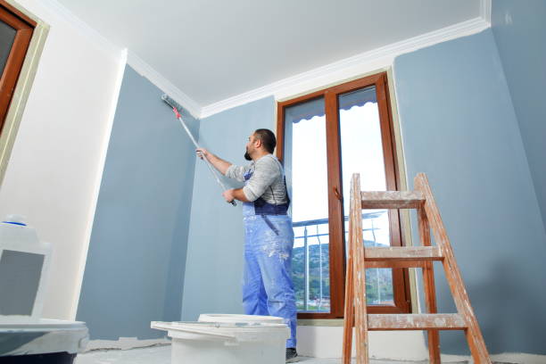Best Mold Prevention Services  in Largo, MD