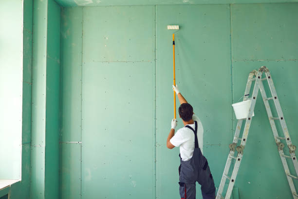 Forensic Mold Investigation in Largo, MD