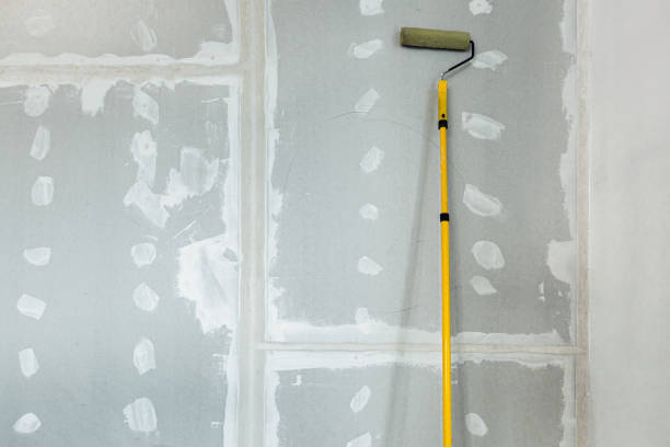 Best Mold Remediation for Rental Properties  in Largo, MD