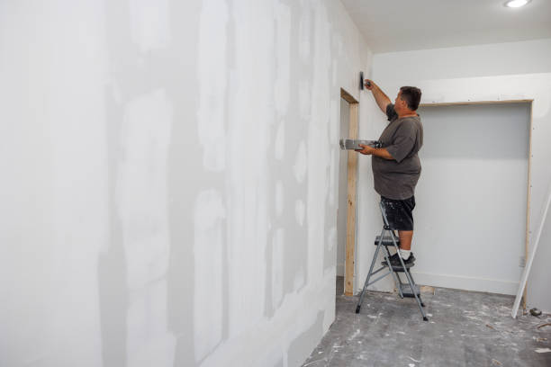 Professional Mold Removal in Largo, MD