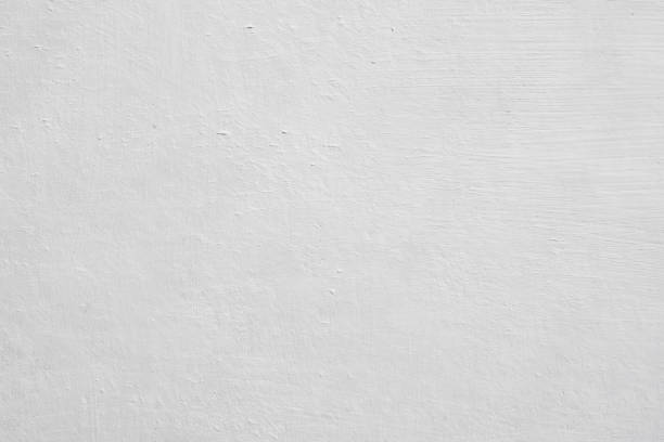 Best Mold Remediation for Vacation Homes  in Largo, MD