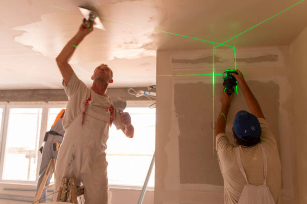 Best Basement Mold Removal  in Largo, MD