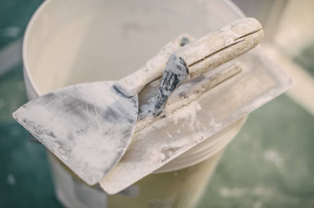 Best Black Mold Removal  in Largo, MD