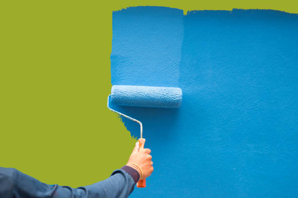 Best Environmental Consulting for Mold Prevention  in Largo, MD