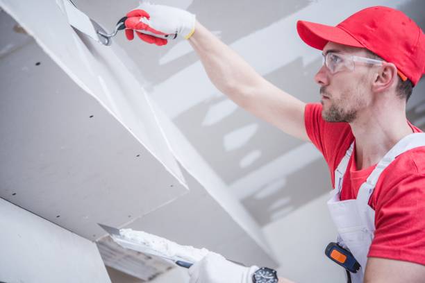  Largo, MD Mold Removal Pros