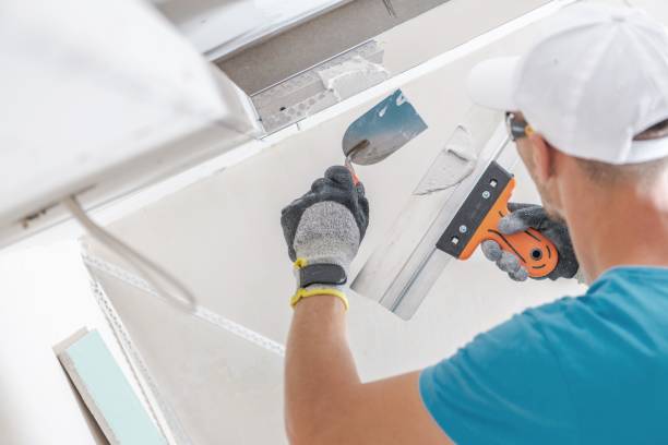 Best Air Quality Testing for Mold Spores  in Largo, MD